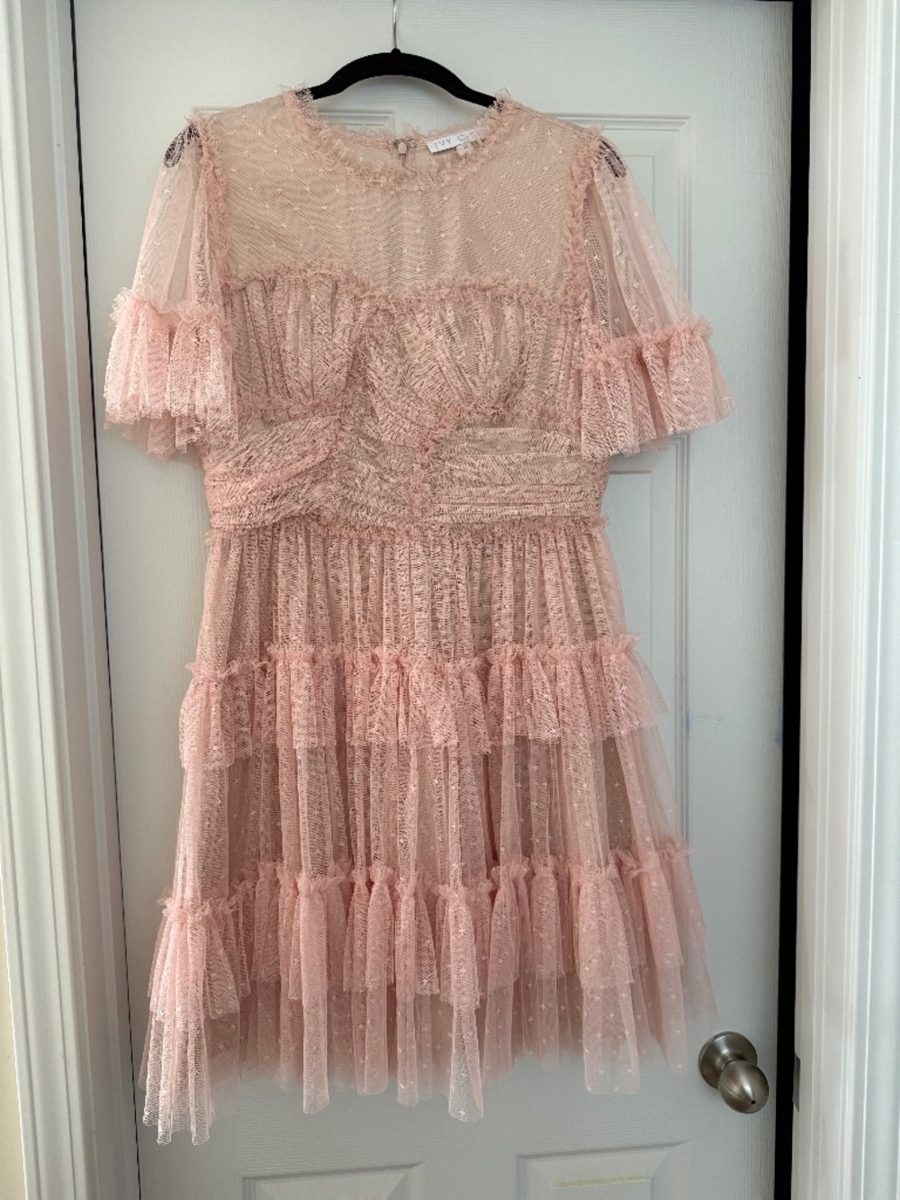 Ivy City Co Blush Whimsical dress Size M